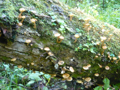 20100927-07.JPG