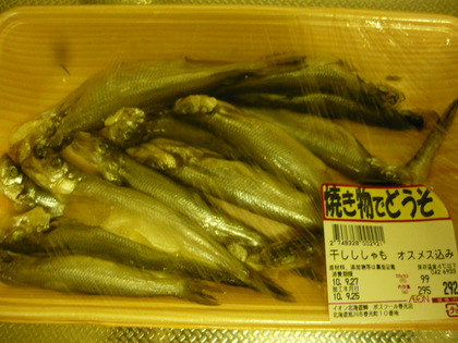 20100929-00.JPG