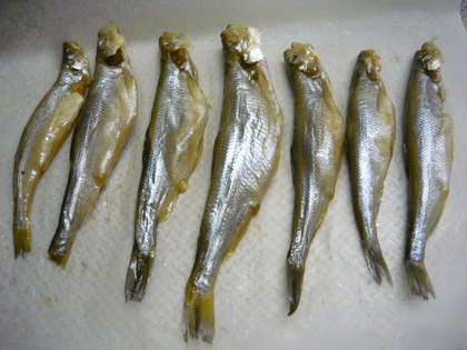 20100929-01.JPG