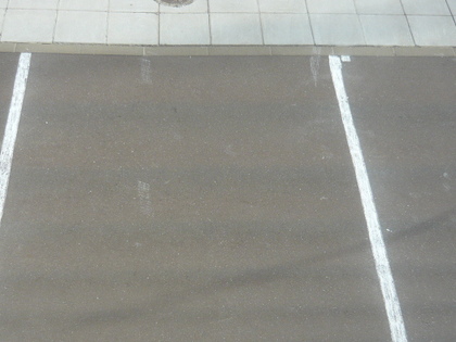 20100930-03.JPG