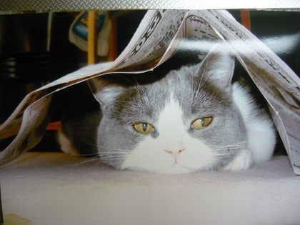 20110302-00.JPG