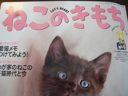 20110302-01.JPG
