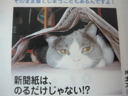20110302-02.JPG