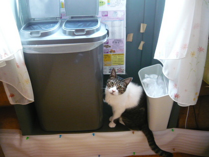 20110302-03.JPG