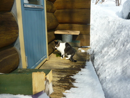 20110302-04.JPG