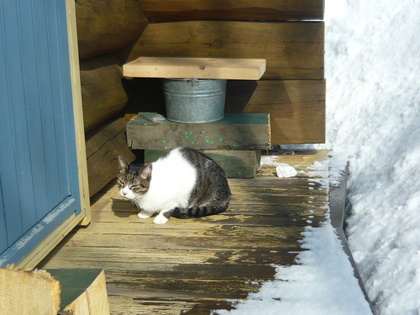 20110302-05.JPG