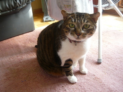 20110304-01.JPG