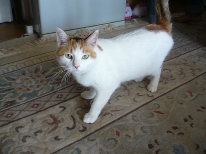 20110321-00.JPG