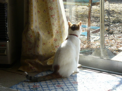 20110321-01.JPG