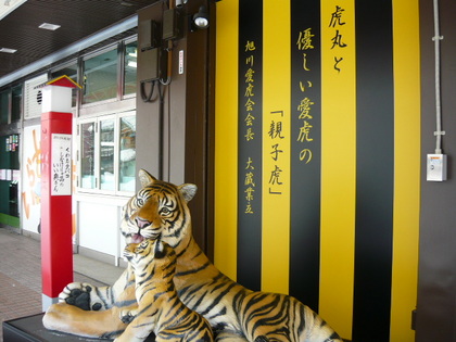 20120213-00.JPG