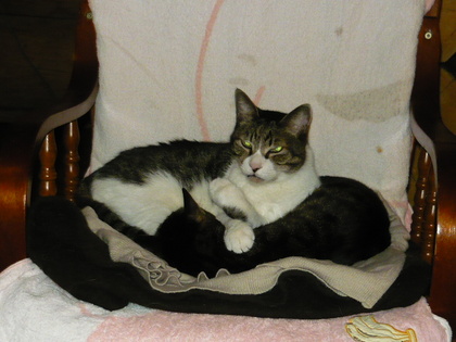 20120213-04.JPG
