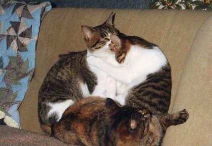 20120222-00.jpg