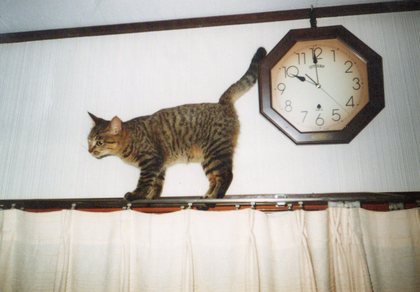 20120222-01.jpg