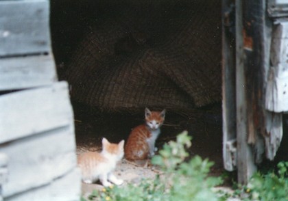 20120226-00.jpg