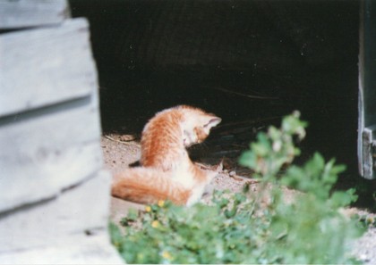20120226-01.jpg