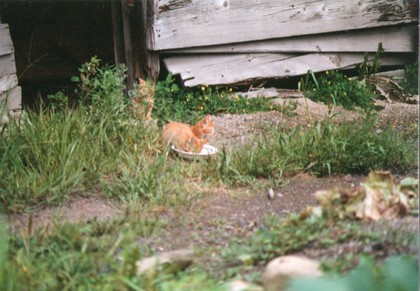 20120226-02.jpg