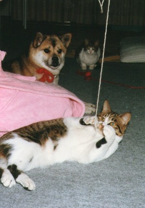 20120226-04.jpg
