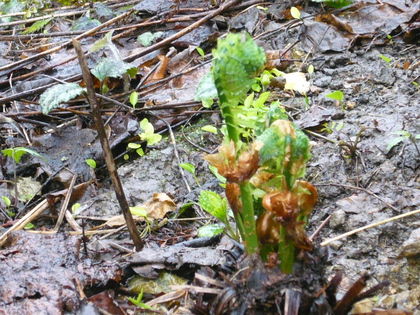 20120505-05.JPG