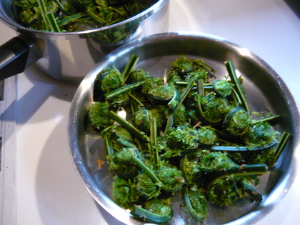 20120505-06.JPG