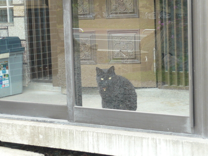 20120508-04.JPG