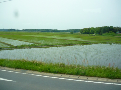 20120523-02.JPG