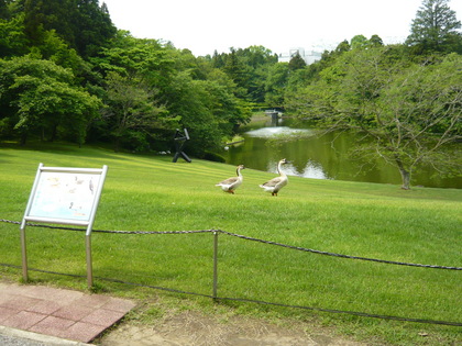 20120523-04.JPG