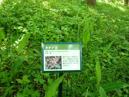 20120523-05.JPG