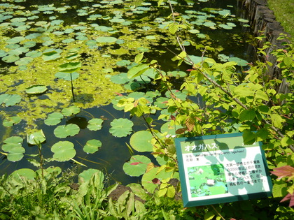 20120523-07.JPG