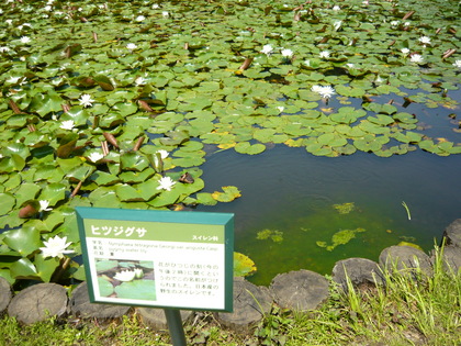 20120523-08.JPG