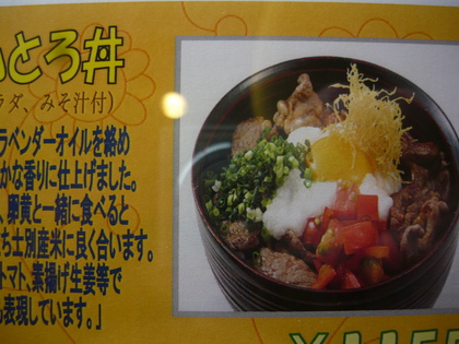 20120526-03.JPG