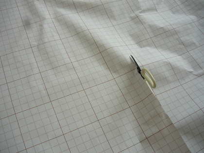 20120527-13.JPG
