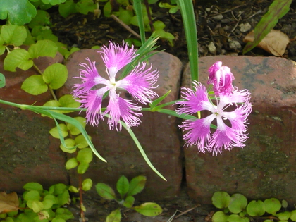 20120801-02.JPG