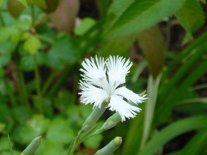 20120806-00.JPG