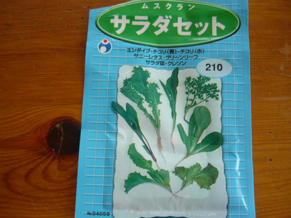 20120806-01.JPG