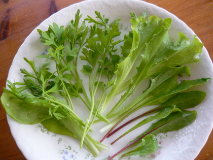 20120806-03.JPG