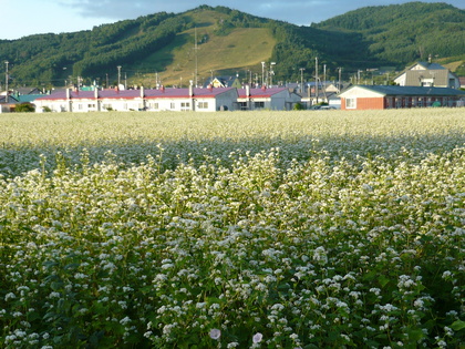 20120809-00.JPG