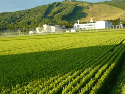 20120809-03.JPG
