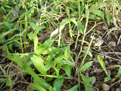 20120831-00.JPG