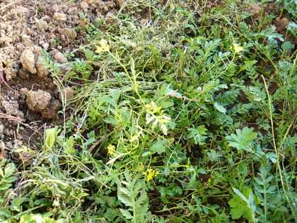 20120831-02.JPG