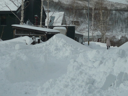 1357183465-P1010387.JPG