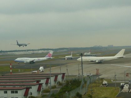 1383268404-P1060401.JPG