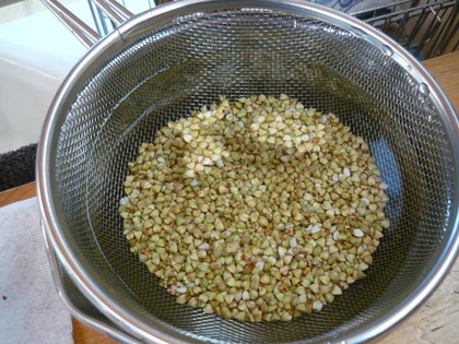 1383972882-P1020470.JPG