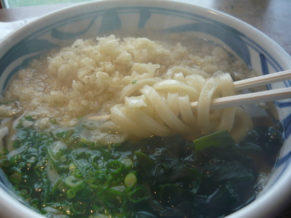 1384240847-P1020477.JPG