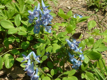 1430464641-P1080986.JPG
