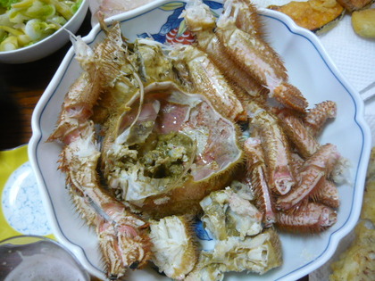 1435490505-P1100202.JPG