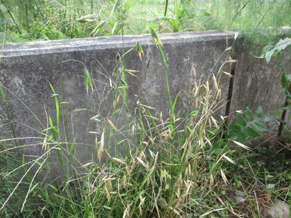 1476492088-IMG_2749.JPG