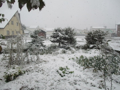 1477293202-IMG_2805.JPG