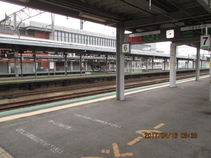 1492404624-IMG_3295.JPG