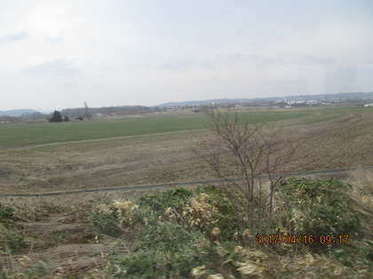 1492500437-IMG_3316.JPG