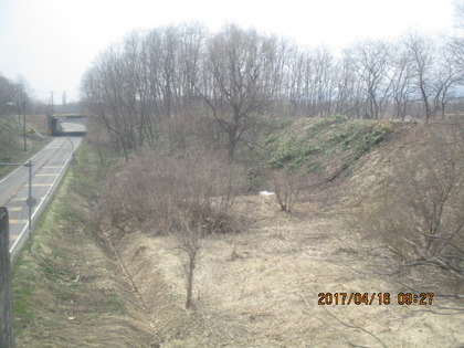 1492567005-IMG_3332.JPG